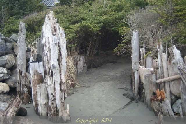 Beach entrance inviting the viewer to enter my website.